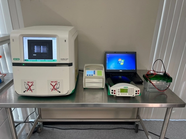 Bio-Rad ChemiDoc Touch V3 Western Workflow - Full System