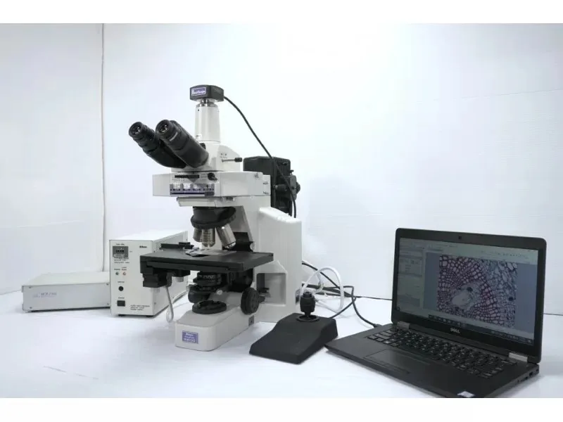 Nikon E600 Upright Fluorescence Motorized Microscope (New Filters