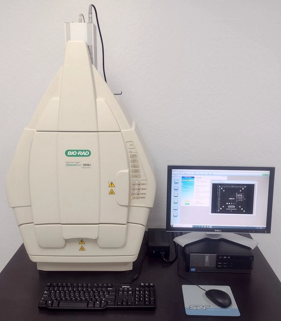 Bio-Rad ChemiDoc XRS+ Gel Photo Documentation System