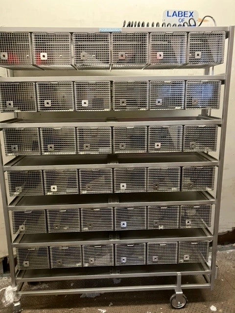 36 Cage Rat Suspended Wire cage Rack