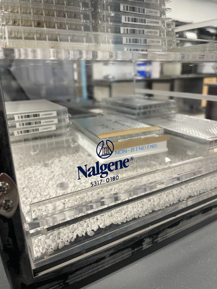 Nalgene Plastic Desiccator