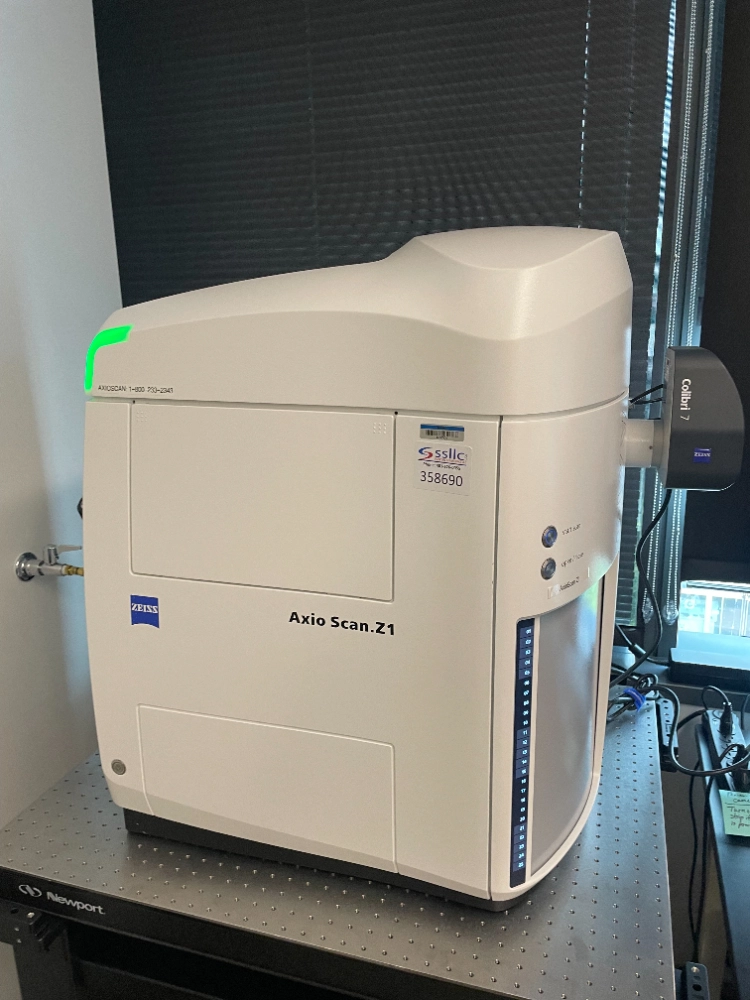 Zeiss Axios Scan.Z1 Microscope Slide Scanner | LabX.com