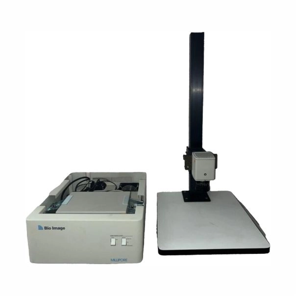Main Image