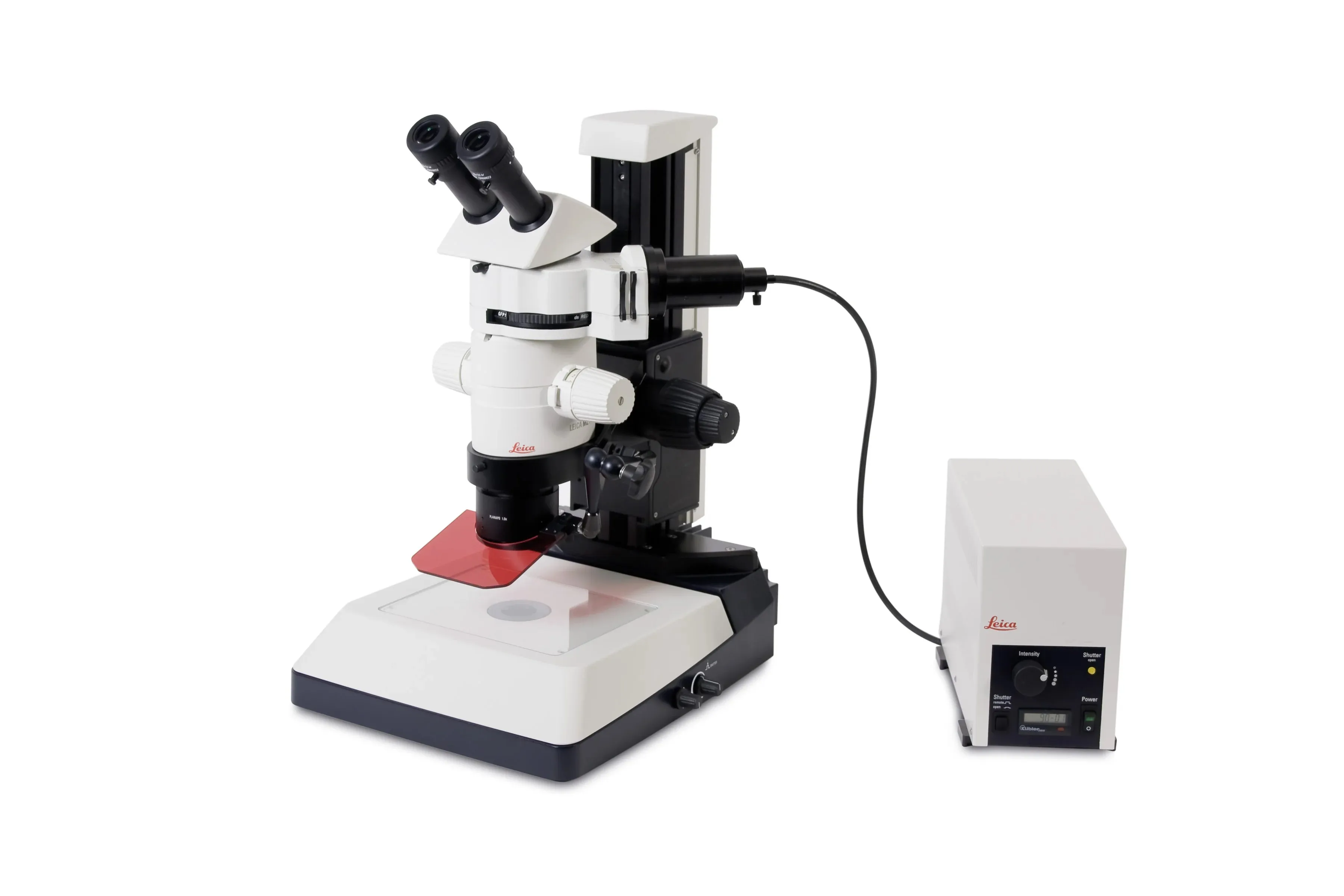 Leica MZ10F for Fluorescence Sorting