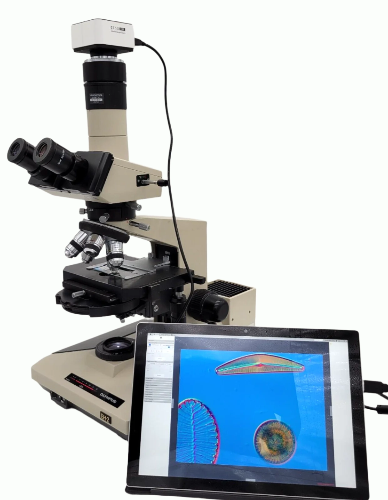 Olympus Microscope BH2 with DIC / NIC, Trinocular Head, and Camera BH-2