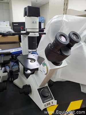 Lot Of Two Olympus CKX31SF Inverted Microscopes And One U-MD0B Microscope