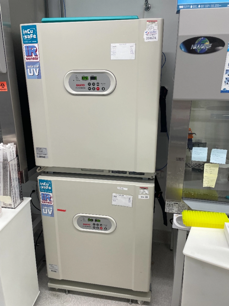 Sanyo Incu-Safe Double Stack CO2 Incubator | LabX.com