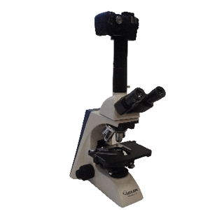 Seiler Digital Camera-Microlux IV Compound Microscope