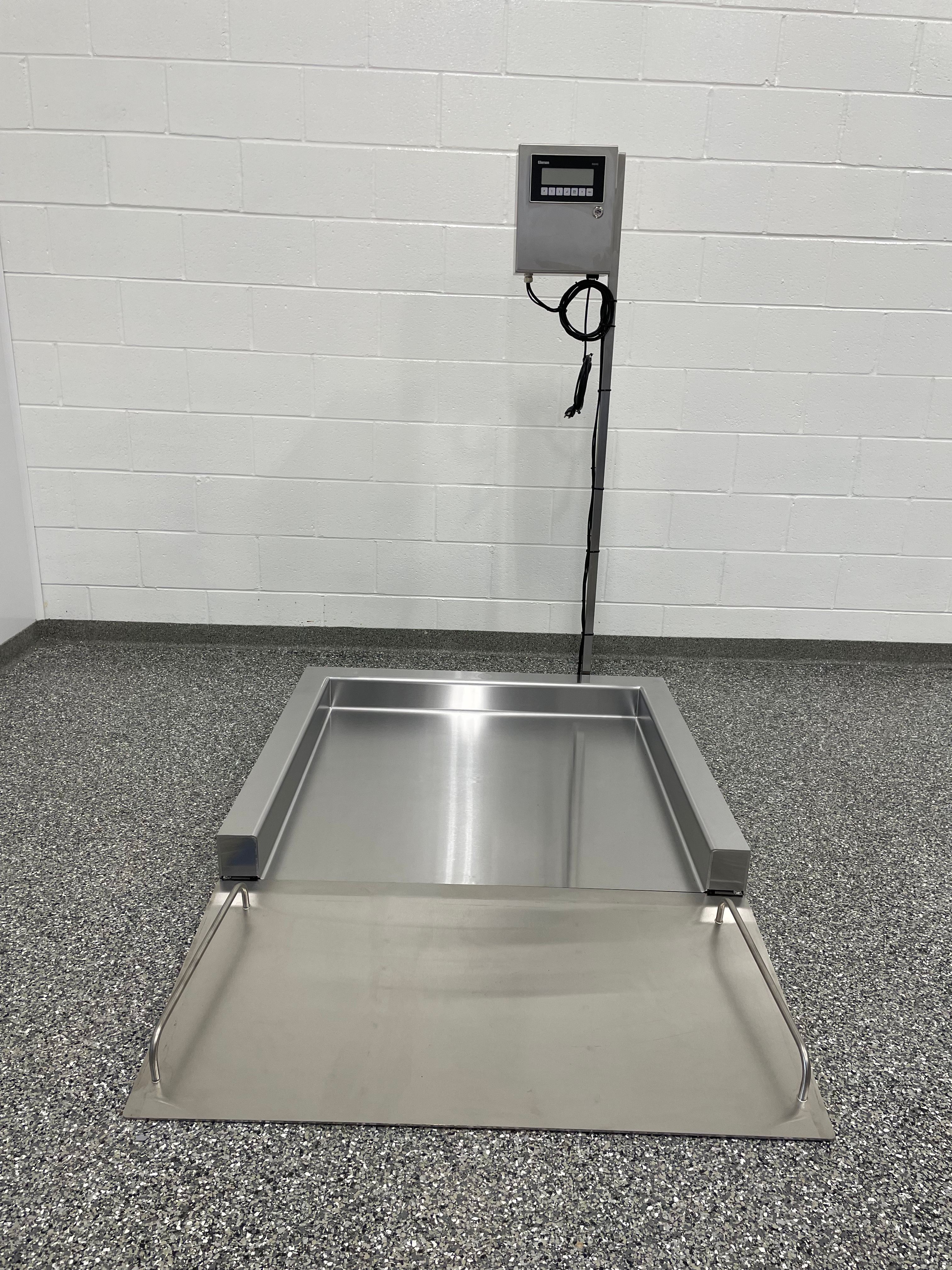 Stainless Steel Floor Scale and Ramp