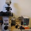 OLYMPUS IMT-2 Inverted Fluorescence Microscope