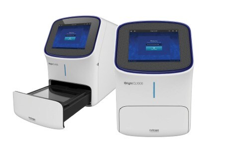 Thermo Fisher Invitrogen iBright CL1000 Imager