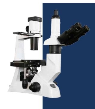 LW Scientific  Inverted Infinity *NEW* Inverted Microscope