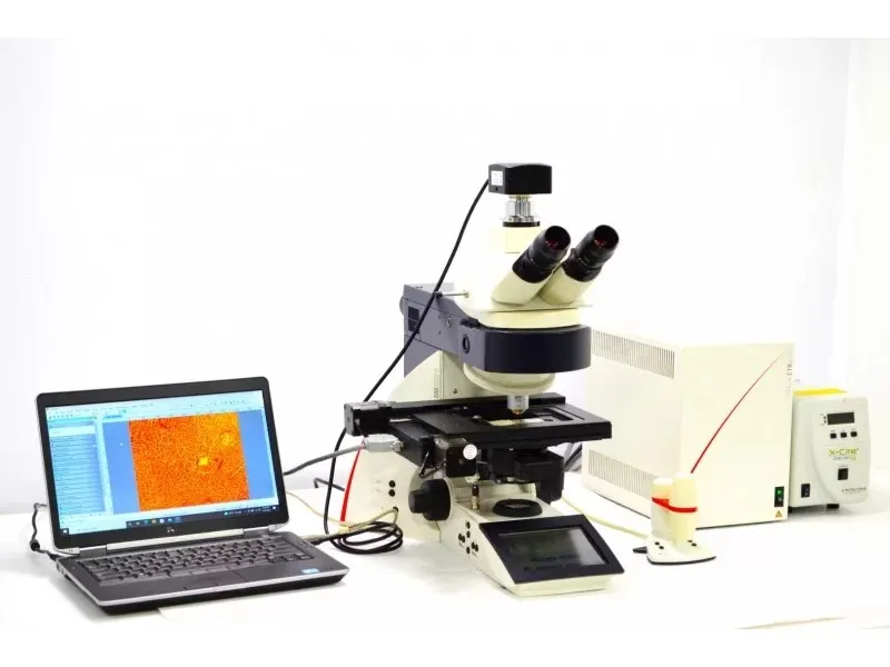 Leica DM6000 Upright Fluorescence Motorized Microscope with Motorized ...