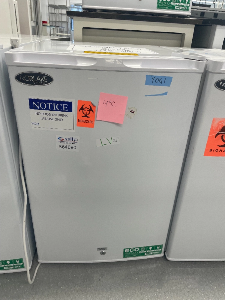 Norlake Undercounter Refrigerator