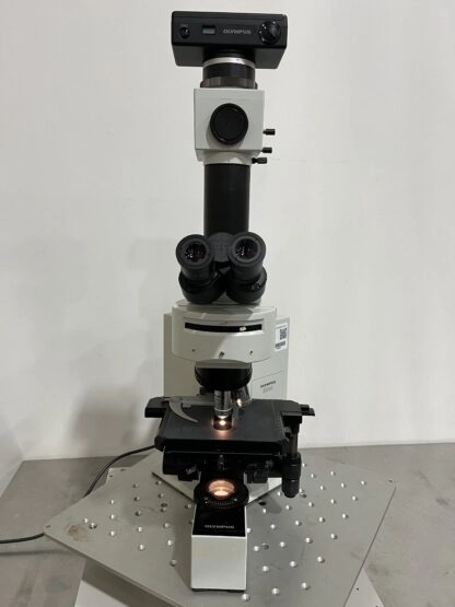 Olympus BX40F-3 Microscope