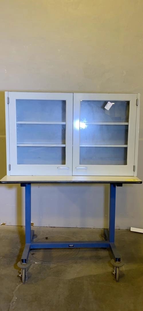 48x13x30" St. Charles Overhead Casework Cabinet w/ Swinging Doors(S6LLST4340)