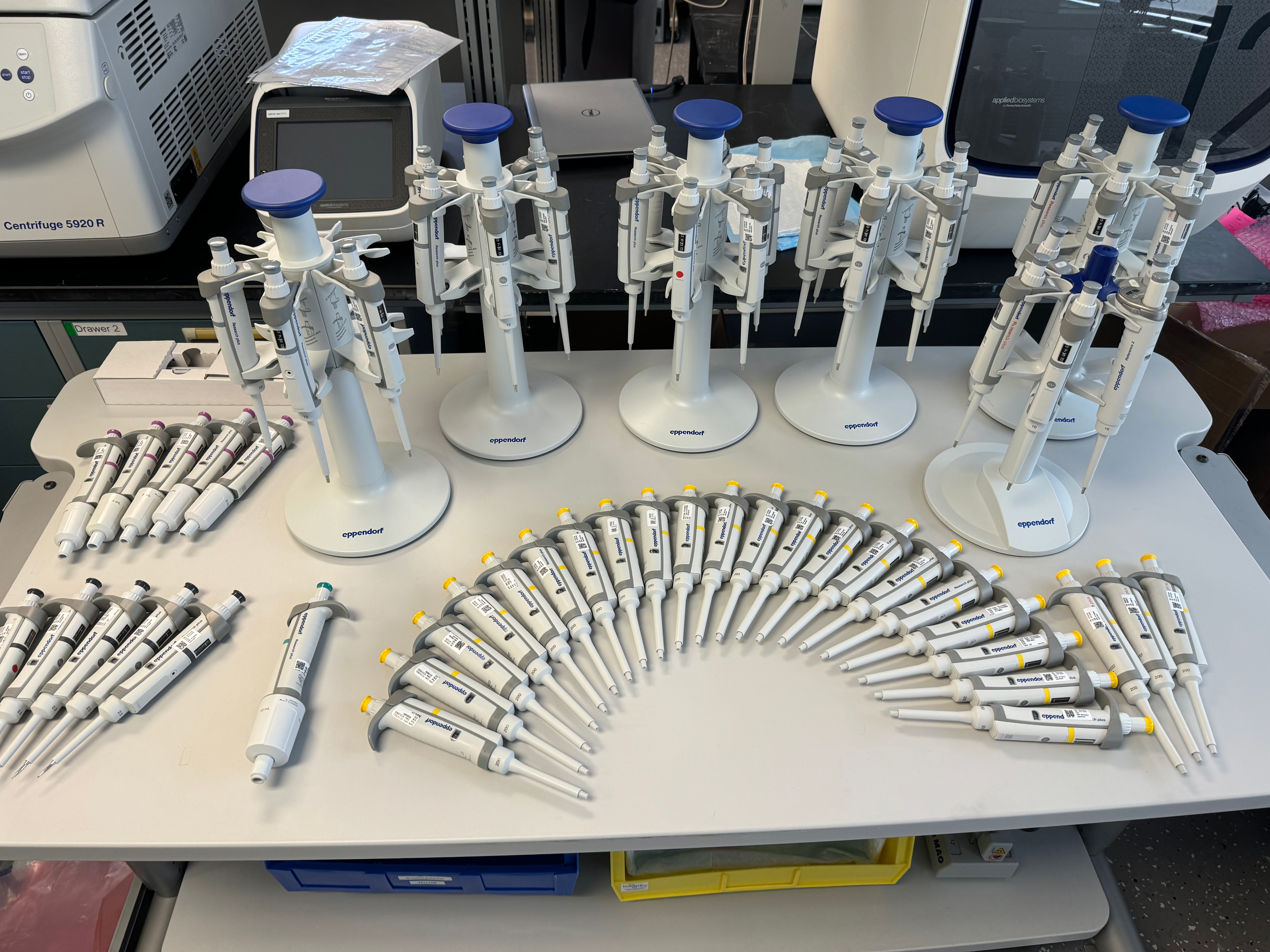 Large Lot of Eppendorf and Thermo Pipettes-Over 150 Pipettes- Incredible offer!
