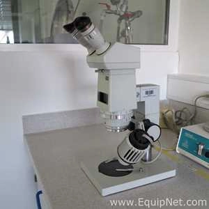 Carl Zeiss Jena Binocular Sterio Microscope