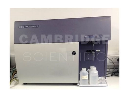 BD Biosciences FACSCanto II 2 Laser Flow Cytometer | LabX.com