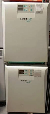 Thermo Scientific HERACell 150 CO2 Incubator