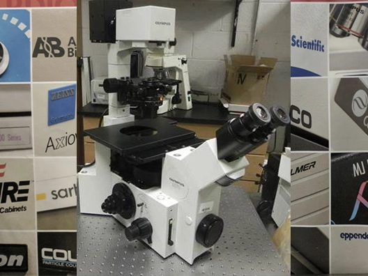 Olympus IX70 Inverted Phase Contrast Microscope