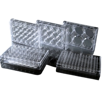Nest 384 Well Cell Culture Plate, Clear, Flat Bottom, Non-Treated, Sterile 1/Pack, 100/Cs 761011