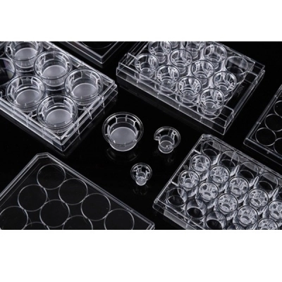 Nest 6 Cell Culture Inserts+6 Well Plate, 1.0 &mu;m, PET, Opaque, Non-TC, Sterile, 6/Pk, 24/Cs 723431