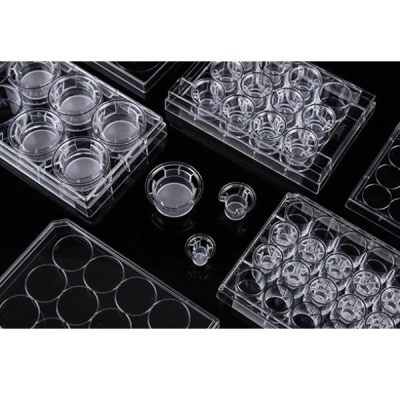 Nest 6 Cell Culture Inserts+6 Well Plate, 8.0 &mu;m, Pc  Translucent, Tc, Sterile, 6/Pk, 24/Cs 723301