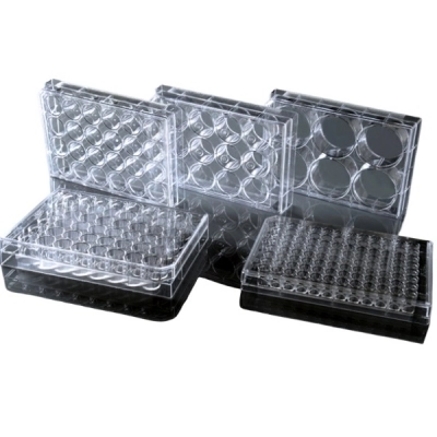 Nest 384 Well Cell Culture Plate, Black, Flat Bottom, Tc, Sterile, 1/Pack, 100/Cs 761301