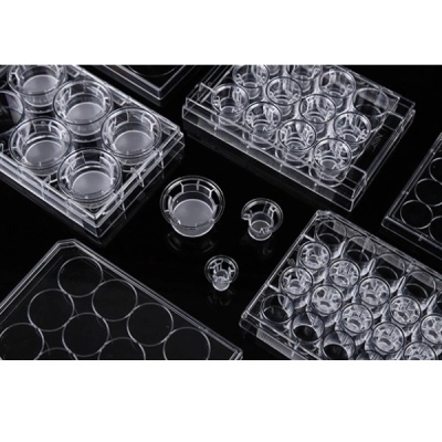 Nest 6 Cell Culture Inserts+6 Well Plate, 8.0 &mu;m PC, Translucent Non-TC Sterile, 6/Pk, 24/Cs 723311