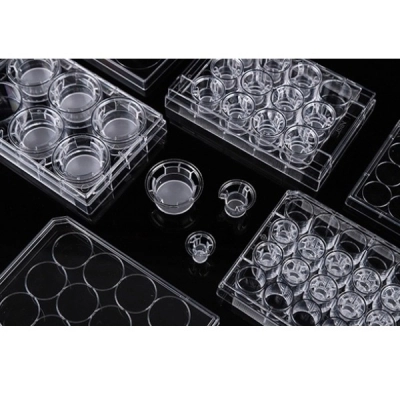 Nest 12 Cell Culture Inserts+24 Well Plate, 0.4 &mu;m PET Opaque, Non-TC, Sterile, 12/Pk, 48/Cs 725131