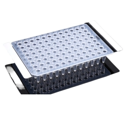 Nest PCR Sealing Film, Adhesive, 146 X 81 mm, 100/Pk, 500/Cs 410001