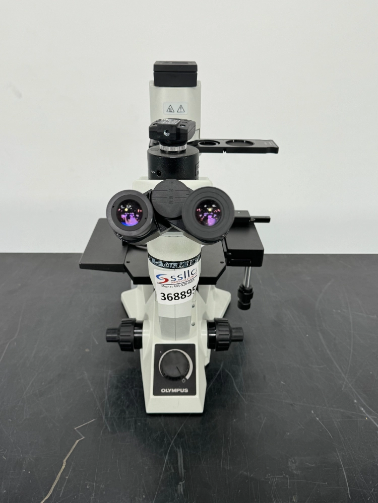 Olympus CKX41SF Inverted Microscope