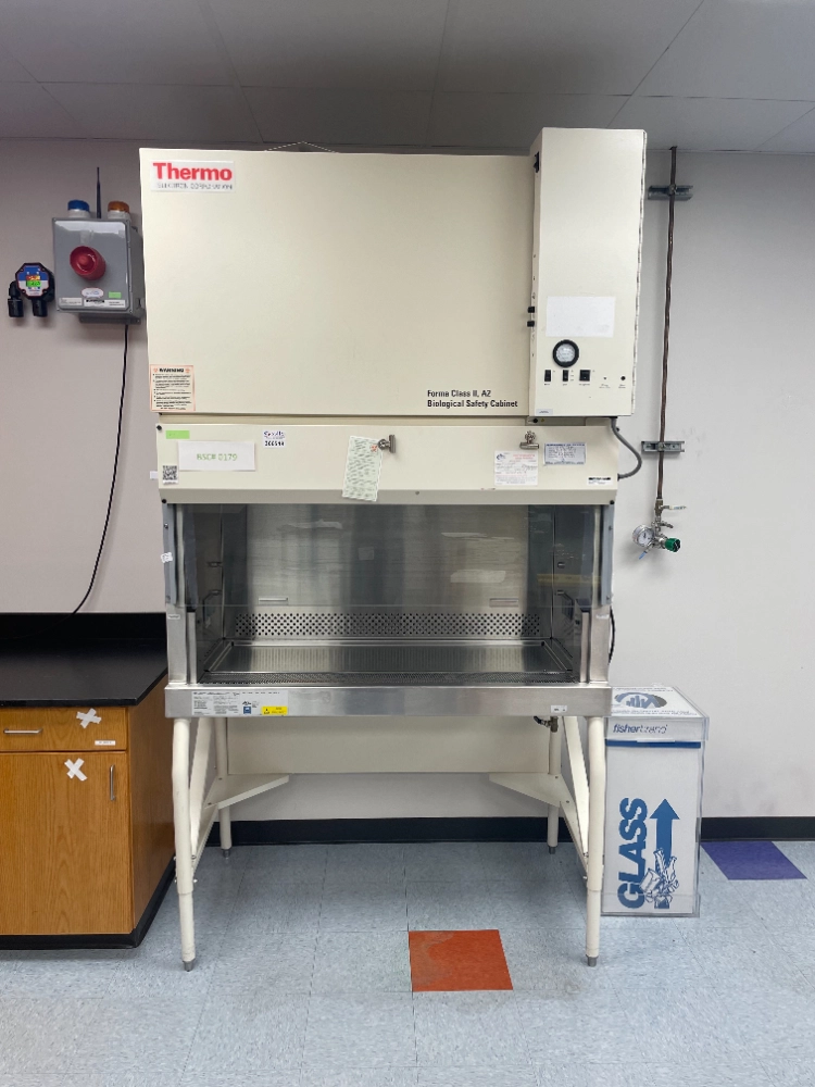 Thermo Forma  Class II A2 6' BioSafety Cabinet