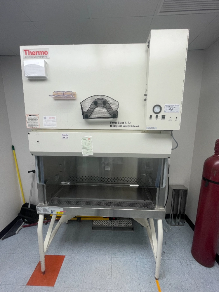 Thermo Forma Class II A2 6' BioSafety Cabinet