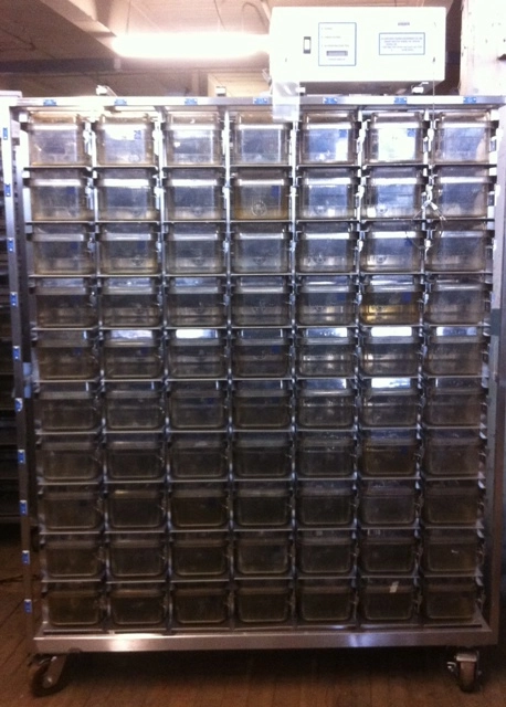 70 Cage Allentown Mouse Vent Rack with Autowater