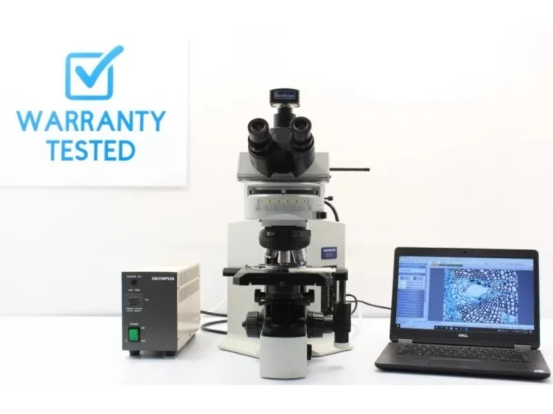 Olympus BX51 Fluorescence Phase Contrast Mechanical Microscope (New Filters)