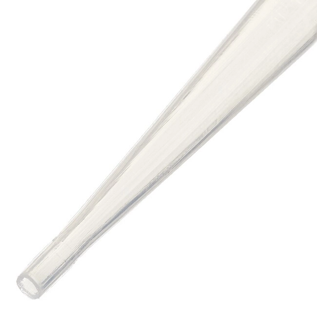 Samco Transfer Pipettes