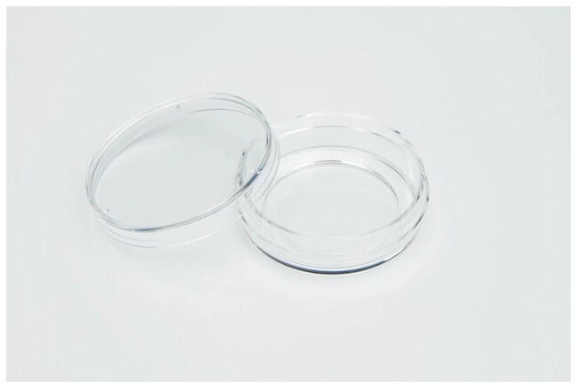 Nunc Glass Bottom Dishes