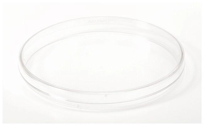 Nunc Cell Culture/Petri Dishes, 150cm2, Nunclon Delta treated, lid, vent