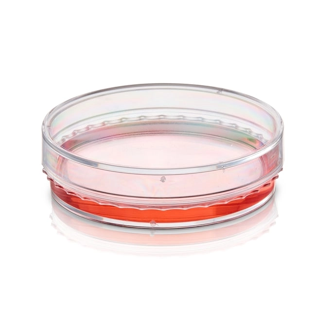 BioLite Cell Culture Treated Dishes