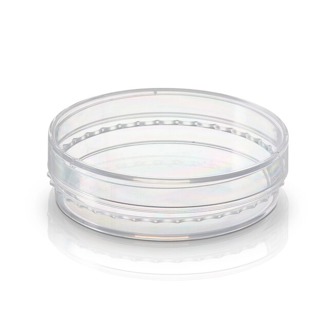 BioLite Cell Culture Treated Dishes