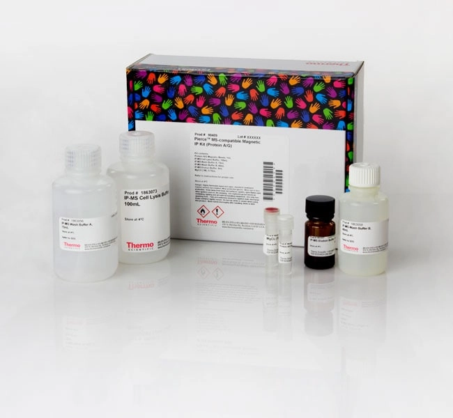 Pierce MS-Compatible Magnetic IP Kit, Protein A/G, 40 reactions kit