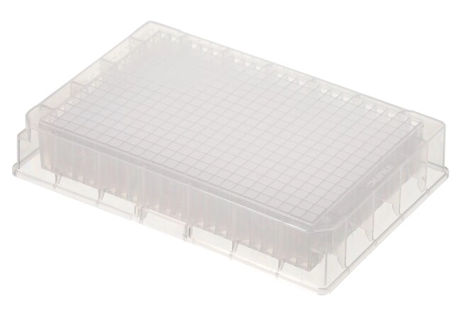 Nunc 384-Well Polypropylene DeepWell Storage Plate