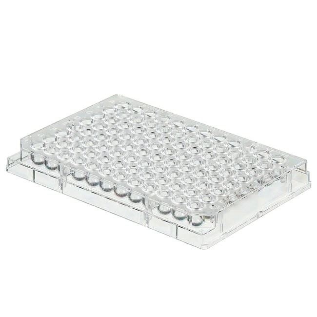 Clear Round-Bottom Immuno Nonsterile 96-Well Plates