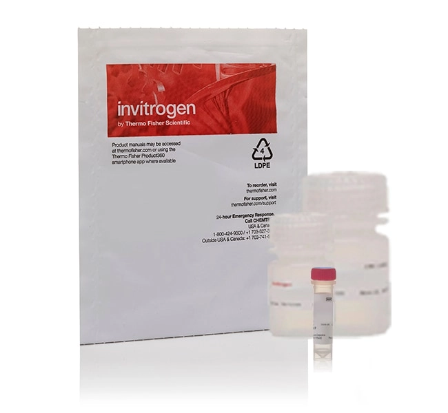 Measure-IT High-Sensitivity Nitrite Assay Kit