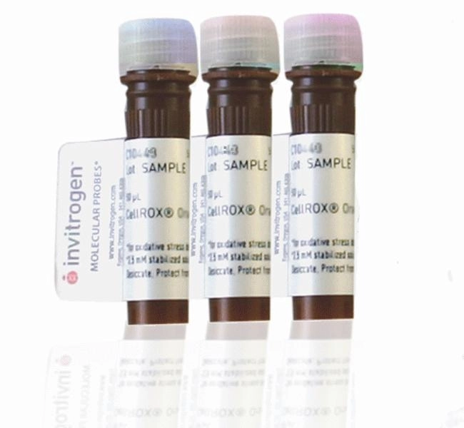 CellROX Reagent Variety Pack, for oxidative stress detection