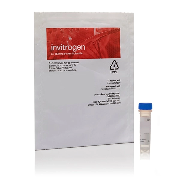 Di(Acetoxymethyl Ester) (6-Carboxy-2',7'-Dichlorodihydrofluorescein Diacetate)