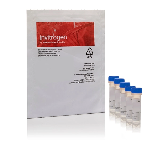 CellROX Deep Red Reagent, for oxidative stress detection