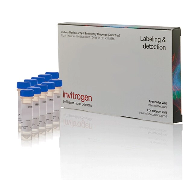 Glutathione Ethyl Ester, Biotin Amide (BioGEE) (Glutathiolation Detection Reagent) - Special Packaging